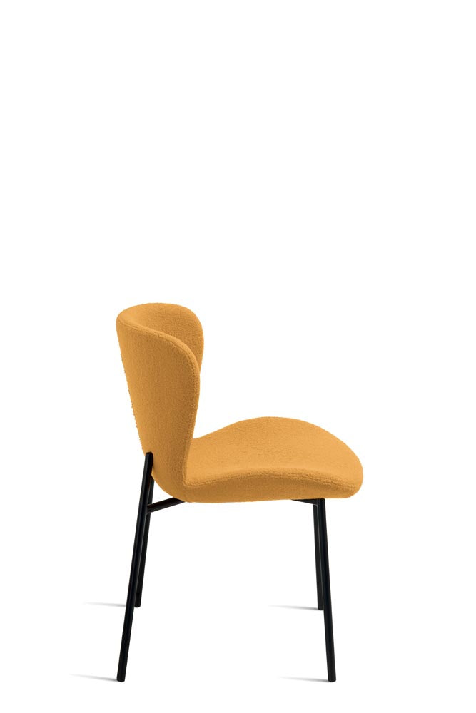 ABRAM _ giallo _ fianco