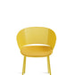 CUTOLO _ giallo _ frontale