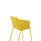 CUTOLO _ giallo _ retro