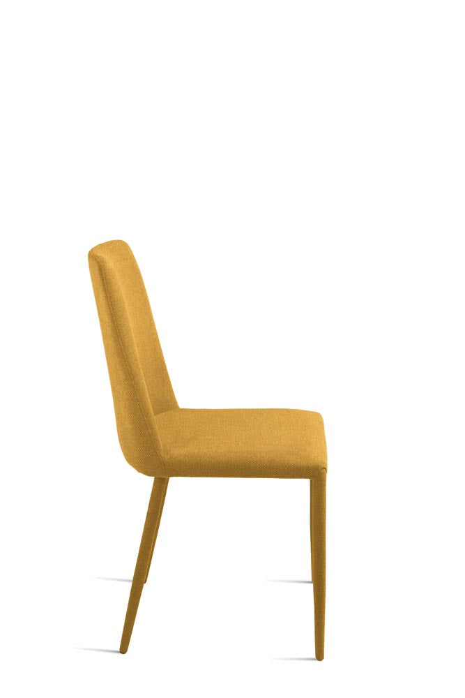 ETTORE _ giallo _ fianco