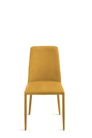 ETTORE _ giallo _ frontale