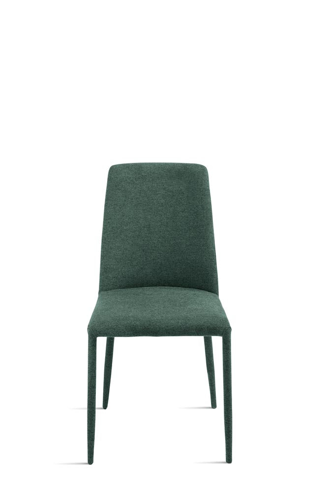 ETTORE _ verde _ frontale