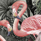 flamencos 2