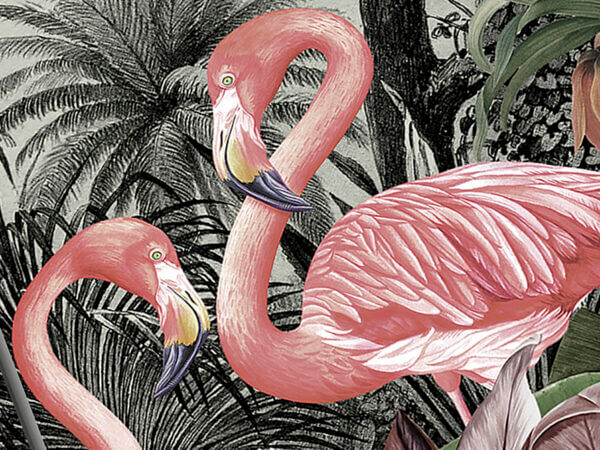 flamencos 2