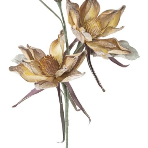 EPIPHY HUM X3 GIALLO CM Ø 35X98 MIN 8