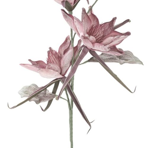 EPIPHY HUM X3 ROSA CM Ø 35X98 MIN 8