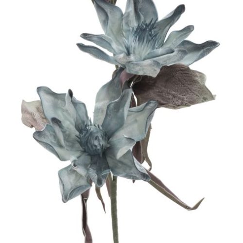 EPIPHY HUM X3 BLU CM Ø 35X98 MIN 8
